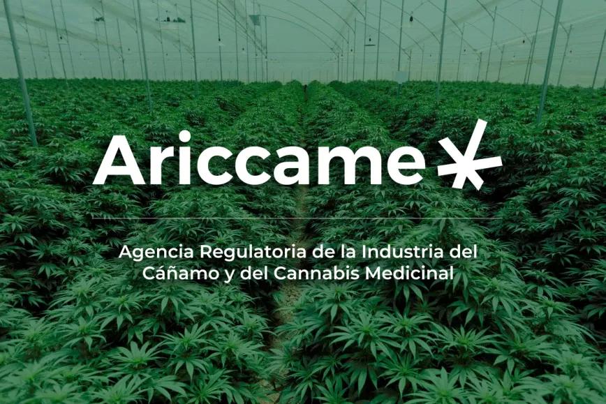 Argentina establece un procedimiento de sanciones para las infracciones en la industria del cannabis