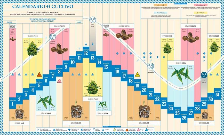 Calendario biodinámico Enero 2025 - Cáñamo 325