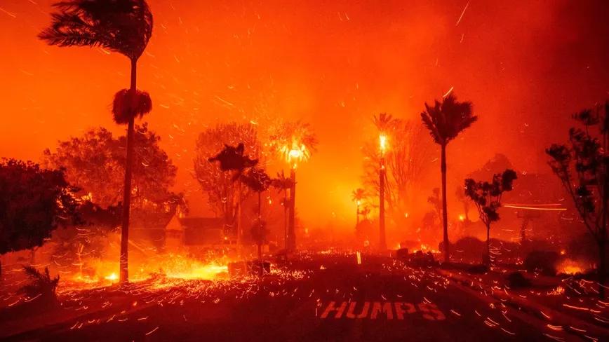 Los incendios forestales de California amenazan a la industria del cannabis