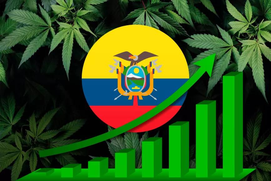 La industria del cannabis crece en Ecuador