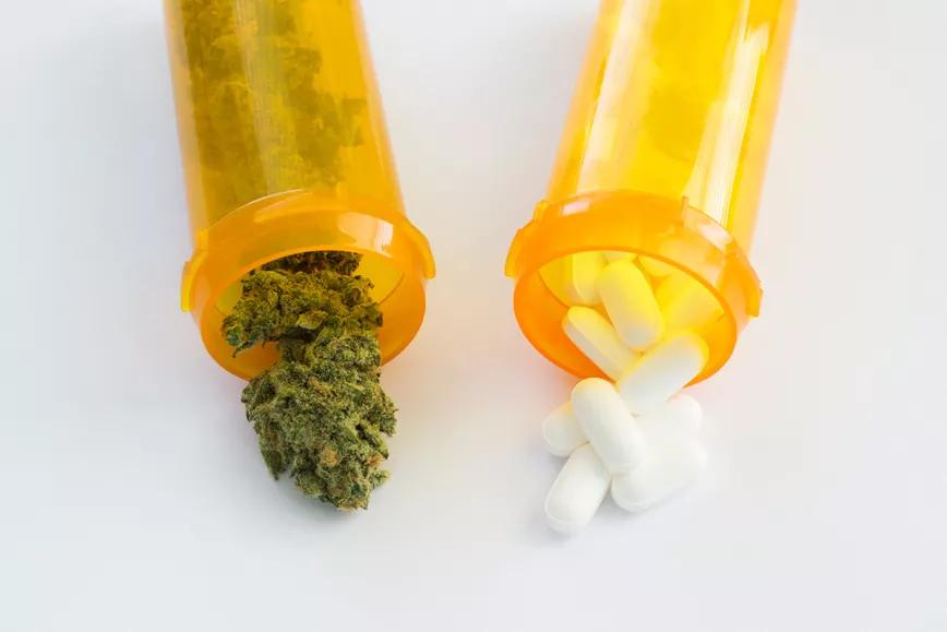 El cannabis es más eficaz que los analgésicos para tratar el dolor crónico