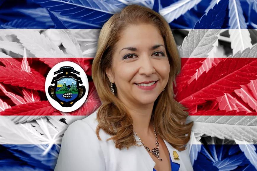 Costa Rica presentó un reglamento para solicitar licencias productivas de cannabis