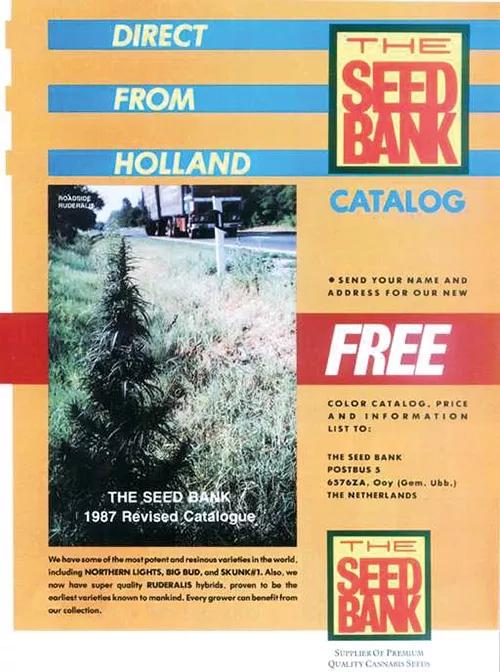 Historia del cannabis y los primeros bancos de semillas