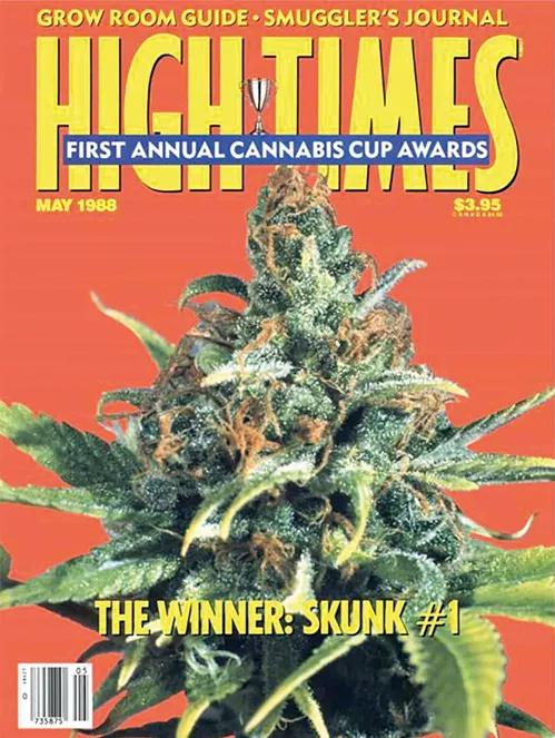 Historia del cannabis y los primeros bancos de semillas