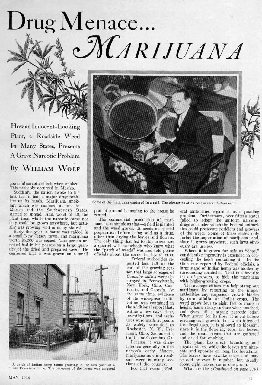 En 1936, el FBI puso en marcha una campaña de propaganda sobre la supuesta locura criminal que inducía la marihuana y para vincular su consumo con los inmigrantes mexicanos.