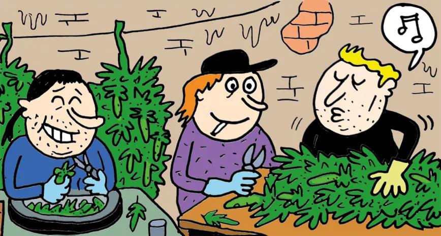 Abarrots - El triángulo esmeralda