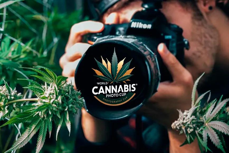 Lanzan el primer concurso internacional de fotografía cannábica