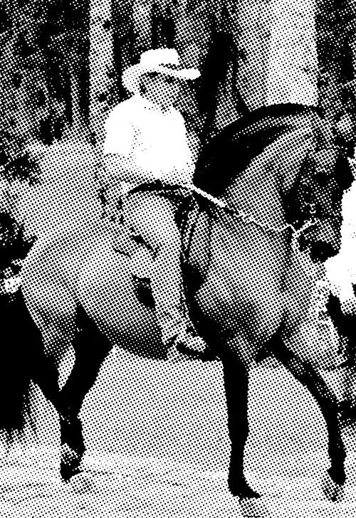 El clan Ochoa. Por Rafael Zaragoza.