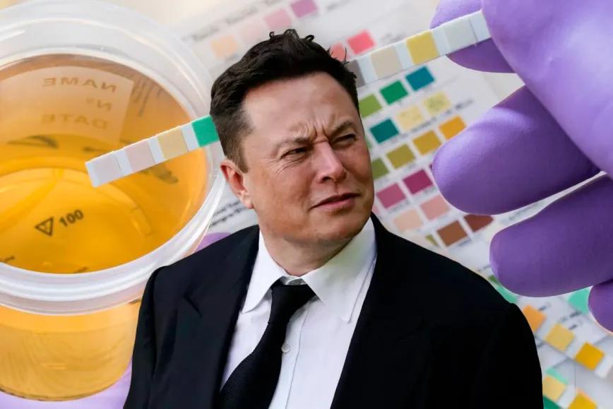Presentan un proyecto de ley en EEUU para que Elon Musk se someta a una prueba de drogas
