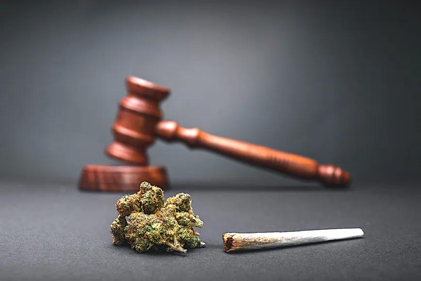 Absuelven al presidente de un Club Social de Cannabis de Tenerife