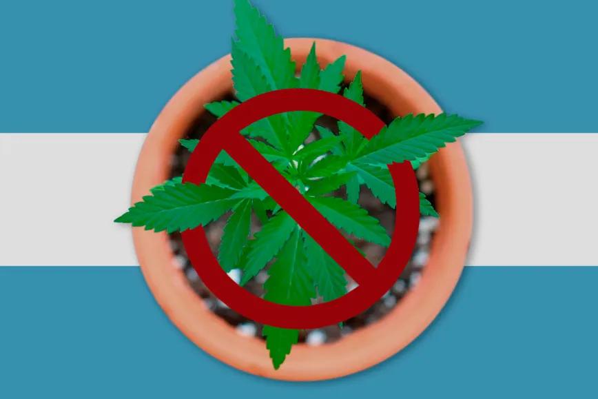  La Justicia argentina rechaza inscribir a un paciente en el registro de cannabis medicinal