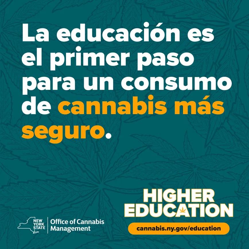 Nueva York lanza una biblioteca virtual sobre cannabis