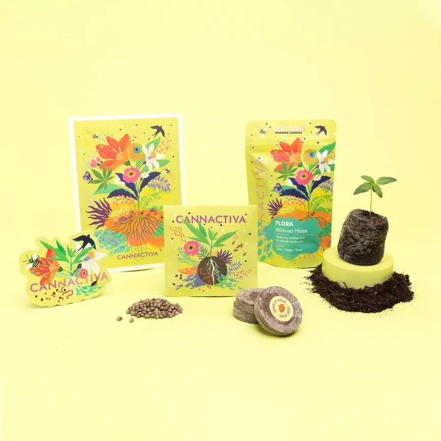 Colección Primavera 2025.