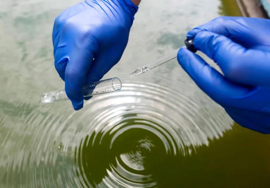 Detectan opioides sintéticos en aguas residuales australianas