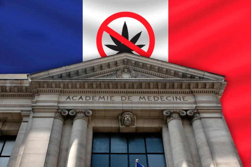 La Academia de Medicina de Francia insiste en la prohibición del cannabis