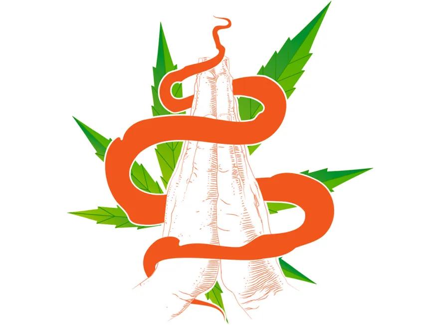 Observatorio Norteamericano - Indiana: estancada en el tiempo. Por Oswaldo Pérez Cabrera 