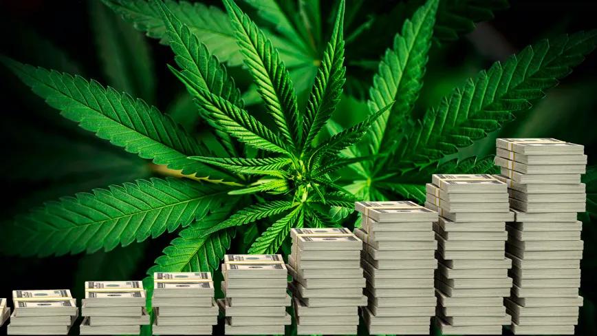 El cáñamo industrial en EE UU alcanza los 445 millones en 2024