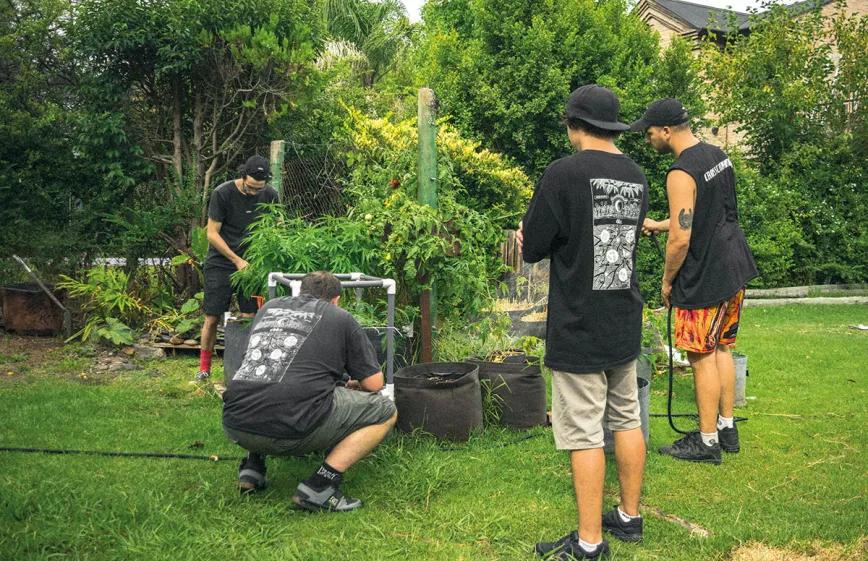 Cultivar cannabis para salvar un planeta que agoniza. Por Santiago Carrillo 