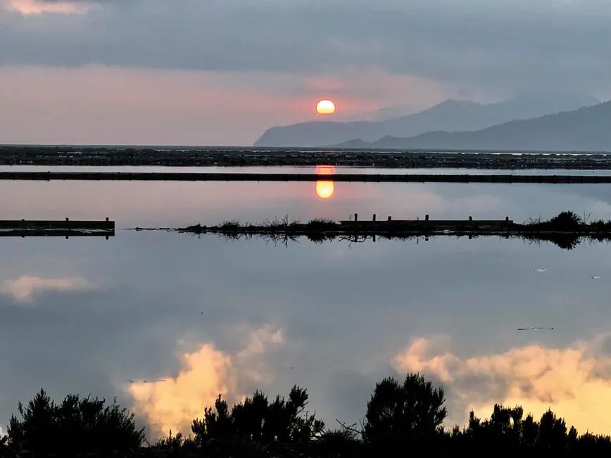 Un porro en Ibiza: entre resinas y la experiencia auténtica