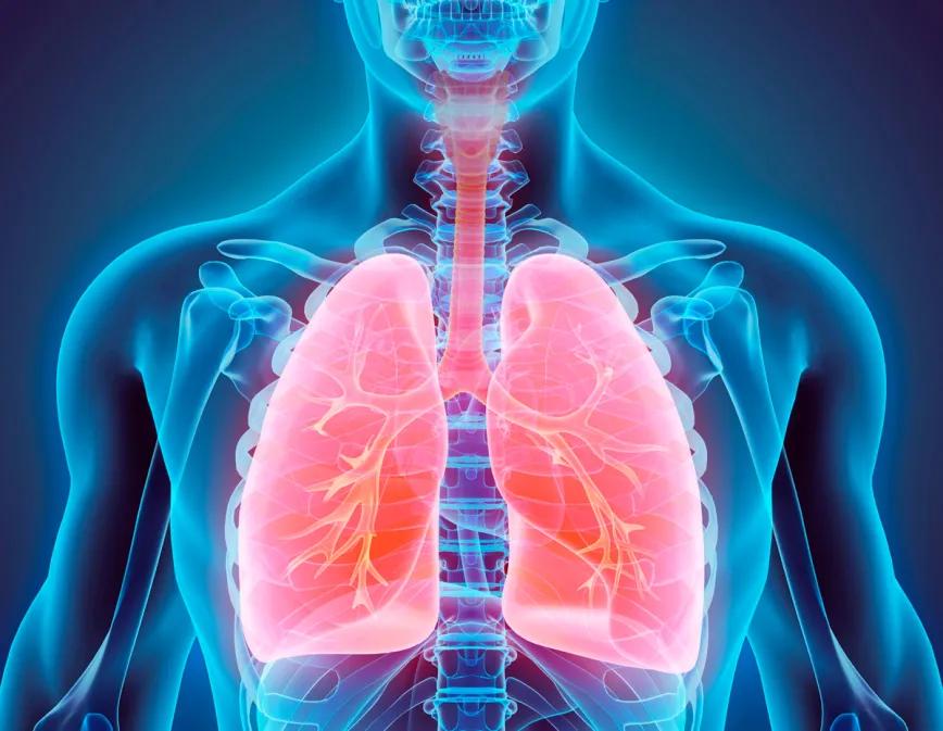 Puede un cannabinoide reparar el daño en los pulmones causado por el asma?