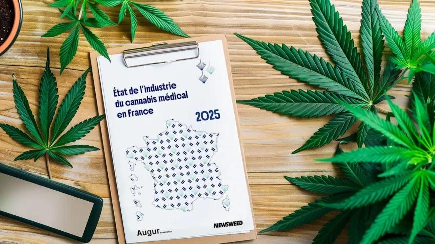 Francia documenta su potencial mercado de cannabis medicinal