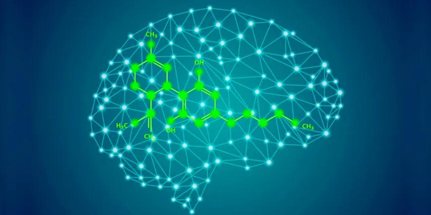 Investigadores canadienses prueban efectos positivos del CBD en la memoria