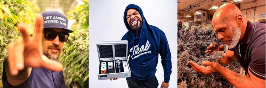 Celebridades cannábicas apuestan por la producción de semillas