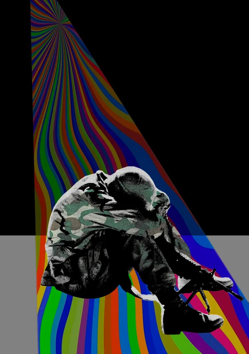 Estados Unidos se compromete a ofrecer terapias psicodélicas a sus veteranos