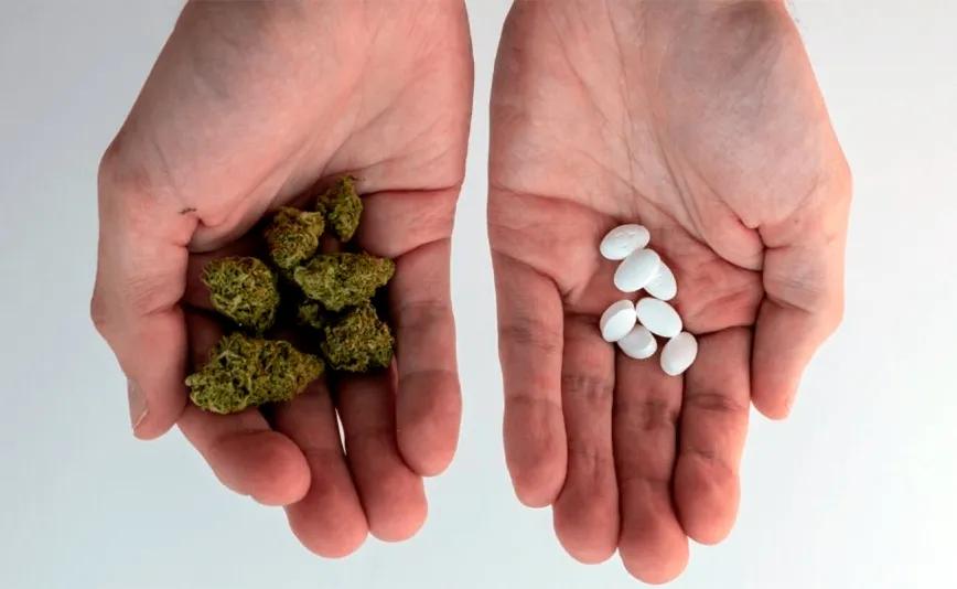 Ocho de cada diez personas usuarias sustituyen fármacos por cannabis
