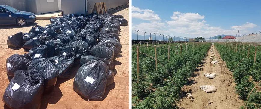 100 kilogramos de cannabis confiscados en Strumica.