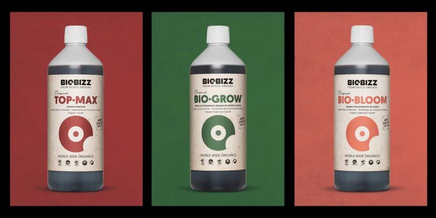 Flores con alma: la magia orgánica detrás de una floración potente y aromática