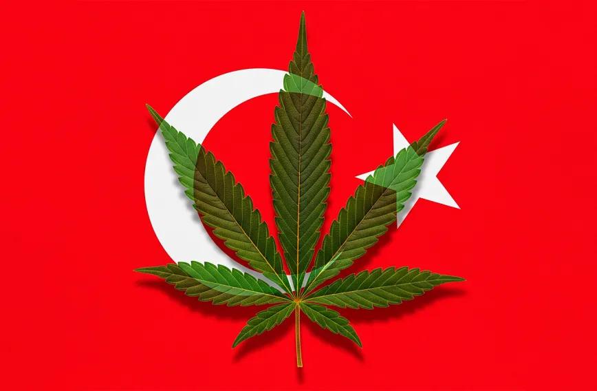 Turquía avanza hacia el cannabis medicinal con regulación estricta