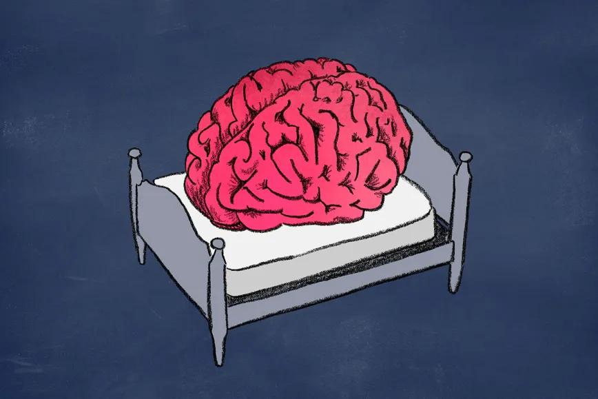 Cannabinoides revierten la inflamación cerebral por falta de sueño