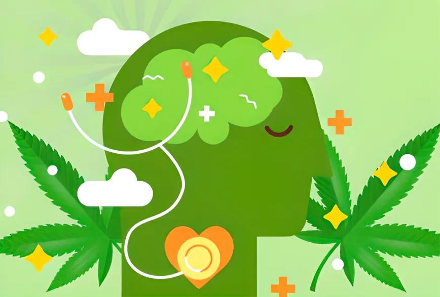 Investigación muestra efectos positivos del cannabis en la ansiedad