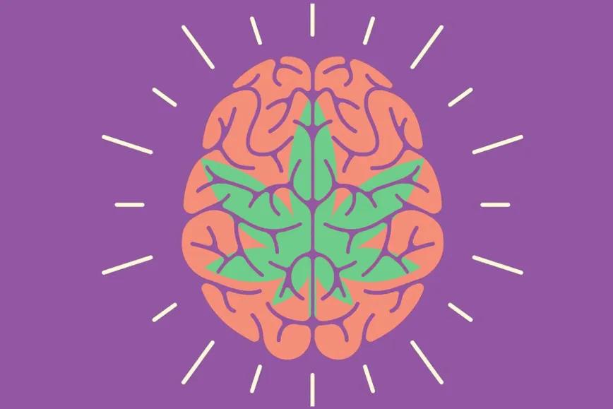 El cannabidiol reduce en más de un 40% las crisis en epilepsia resistente