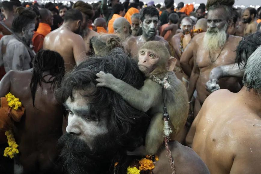 El Maha Kumbh Mela: trascendencia a orillas del Ganges