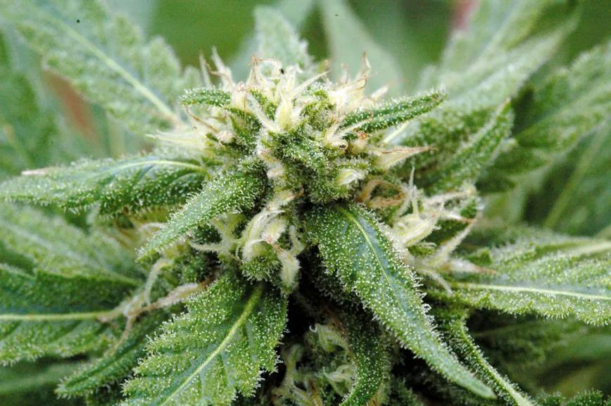 Los diez errores típicos del último mes y cómo evitarlos