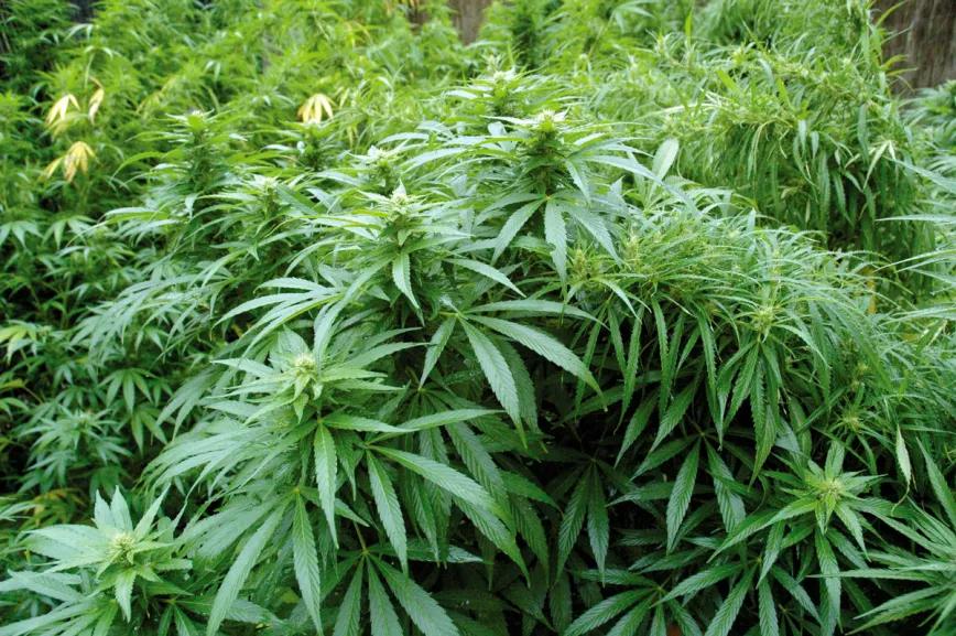 Los diez errores típicos del último mes y cómo evitarlos