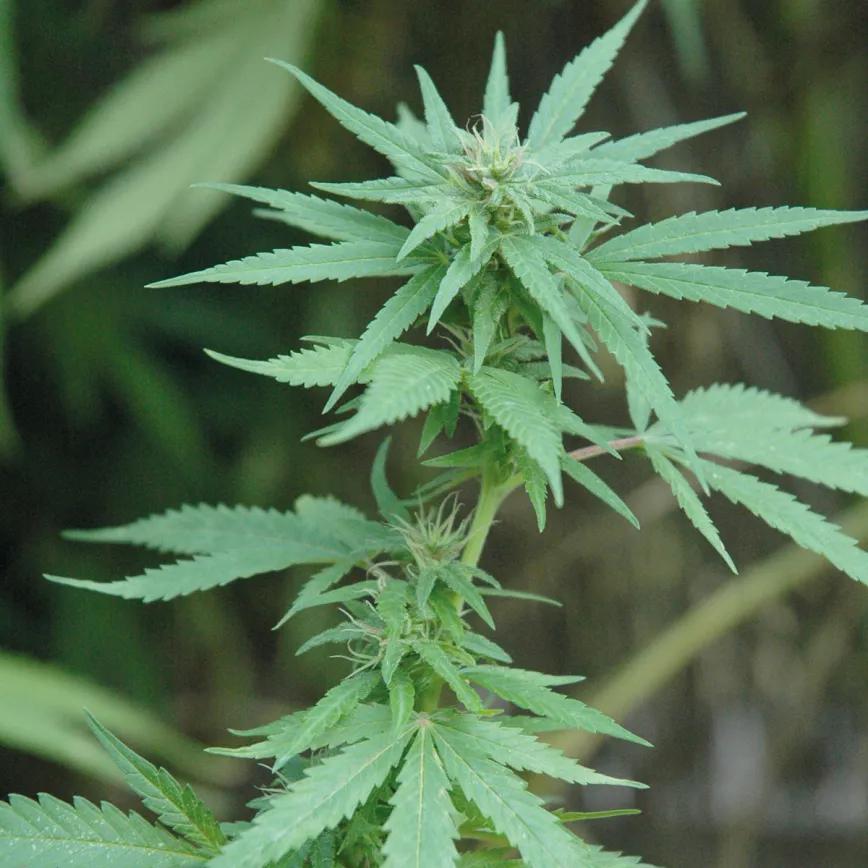 Los diez errores típicos del último mes y cómo evitarlos