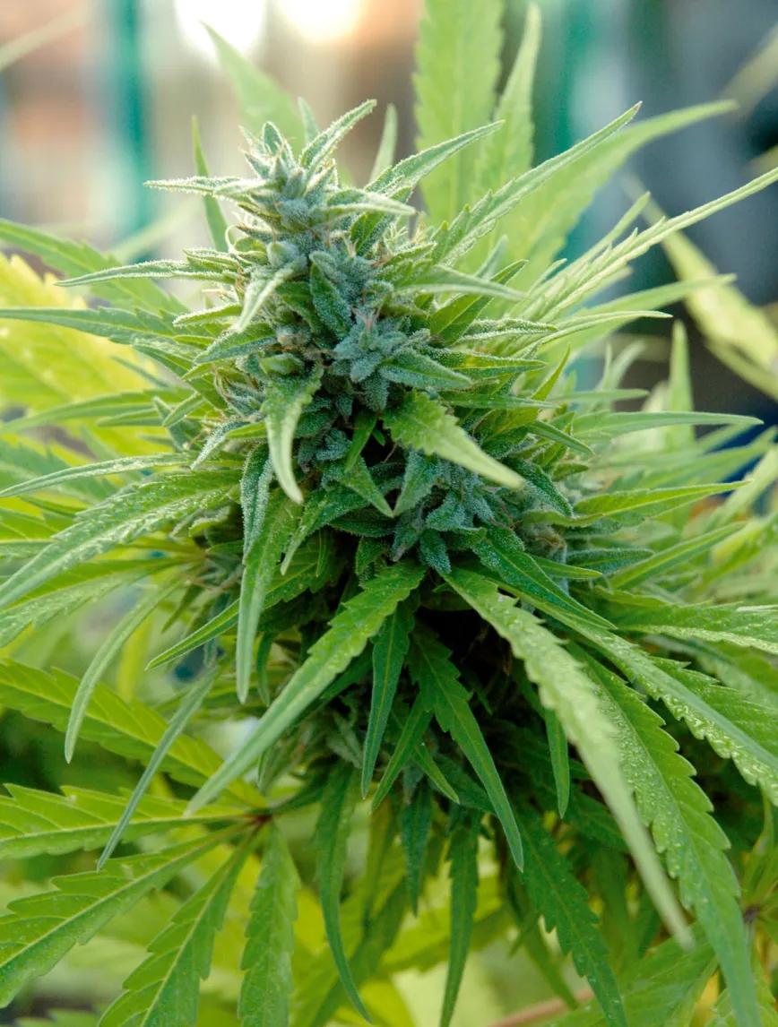 Los diez errores típicos del último mes y cómo evitarlos