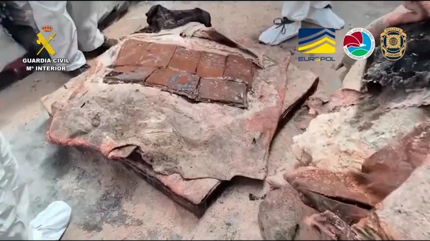 Caen distribuidores de cocaína camuflada en pieles de bovino