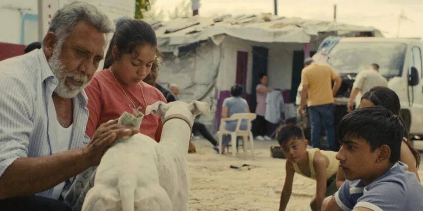 Ciudad sin sueño de Guillermo Galoe.