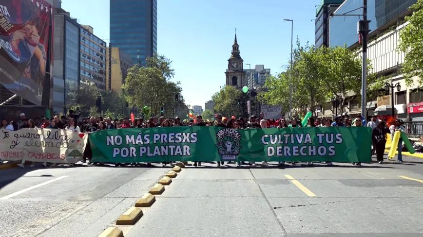 Marcha pro cannabis en Chile cumplió 20 años