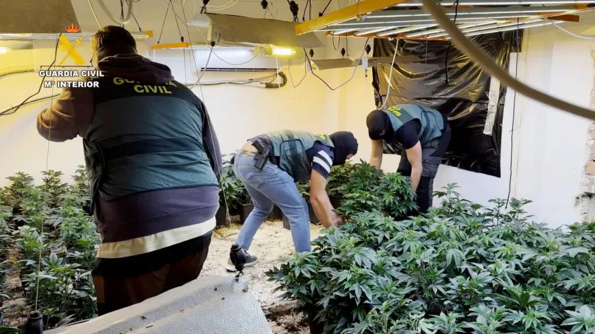 Desarticulan una red internacional de cultivo y tráfico de marihuana en Granada