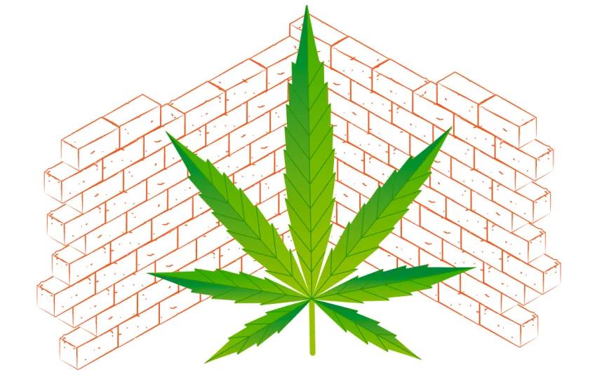 Hempcrete: soluciones ecológicas para un futuro sostenible