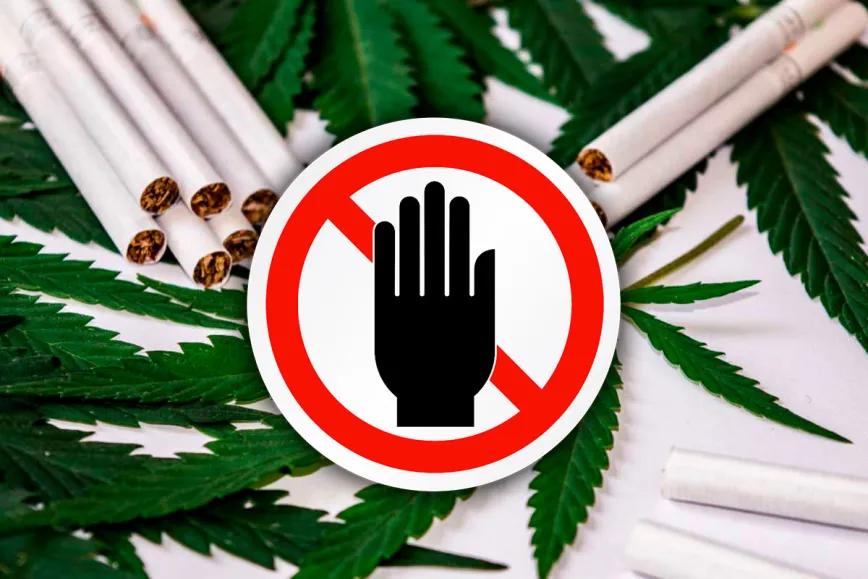 Portugal veta el cáñamo en productos del tabaco