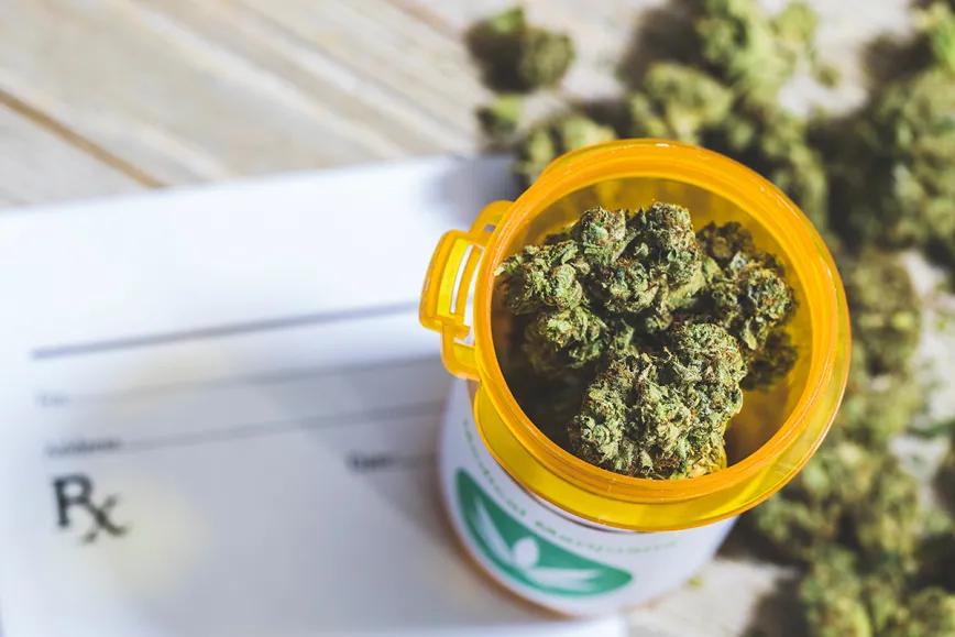 Cannabis terapéutico reduce el dolor y el uso de opioides
