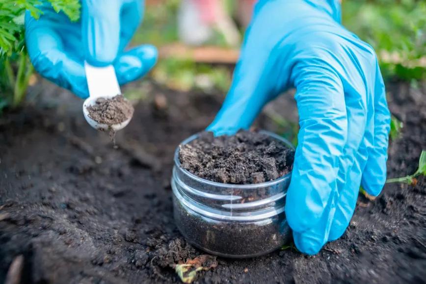 La amenaza invisible en los cultivos de cannabis son los metales pesados