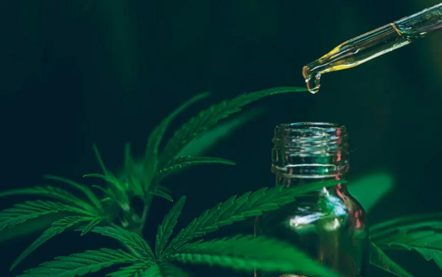 CBD en España: más de 500 tiendas y crecimiento del 35% anual