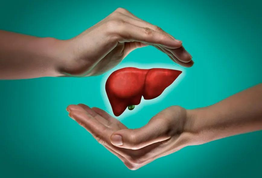 Asocian aceite de cannabis con remisión de cáncer hepático 